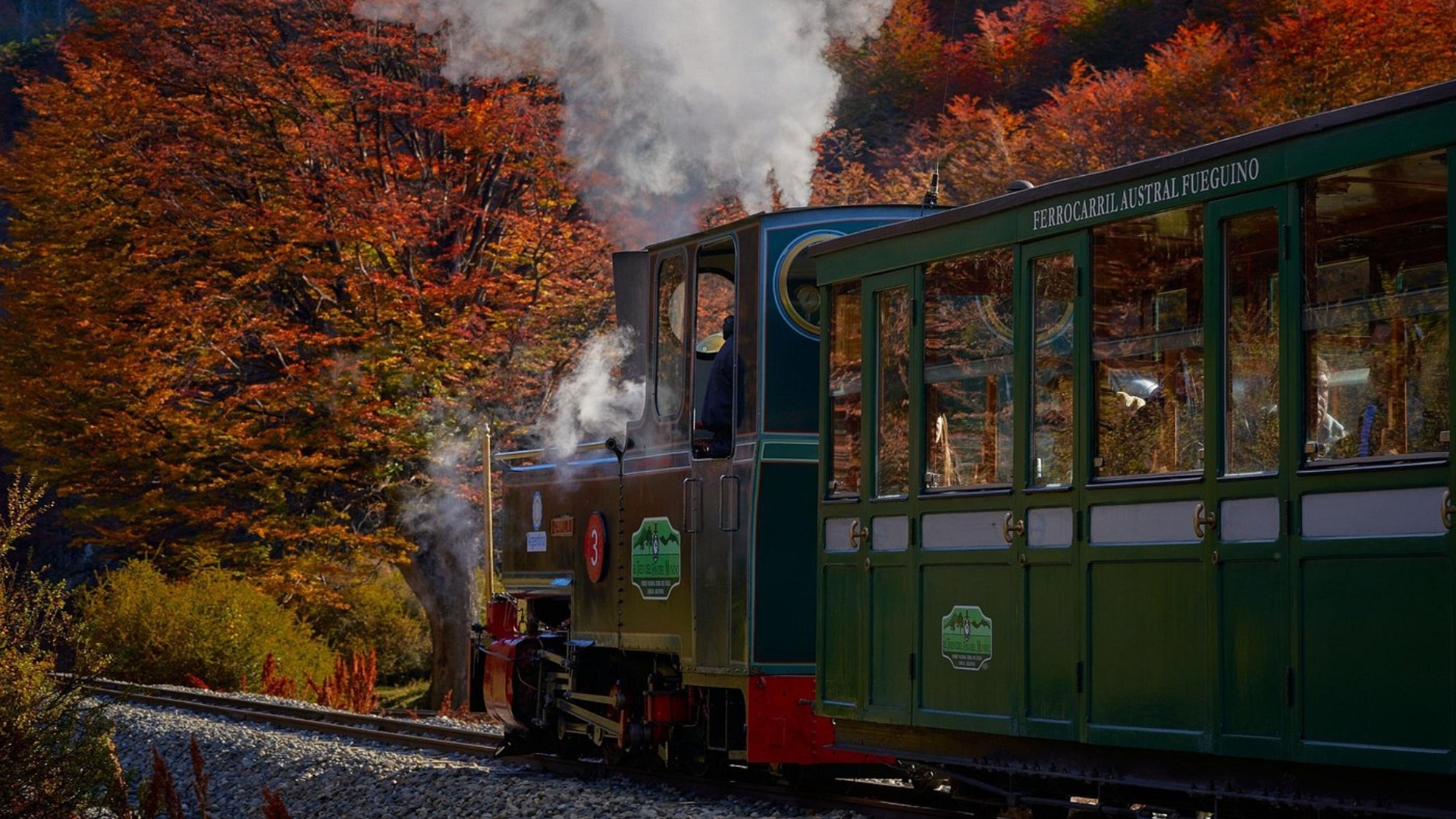 Tren del Fin del Mundo + Parque Nacional