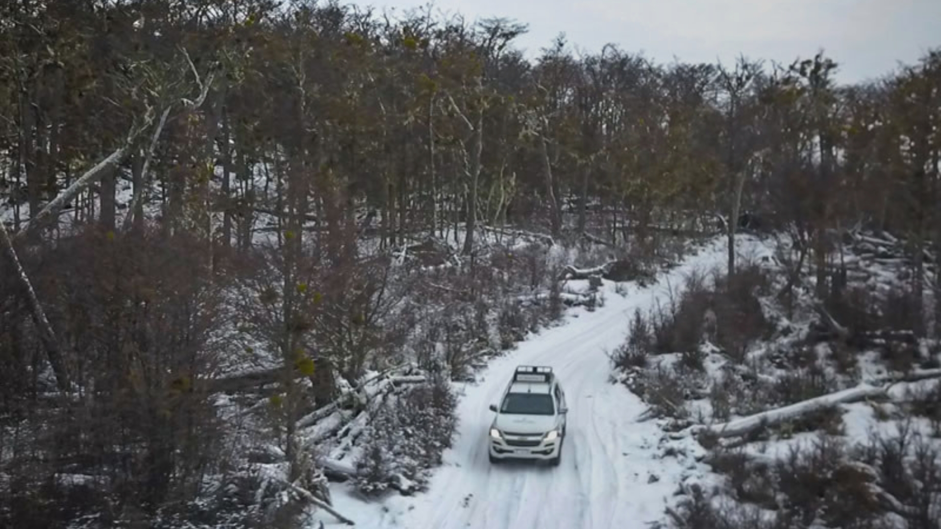 Ruta de la Nieve en los Andes 4x4